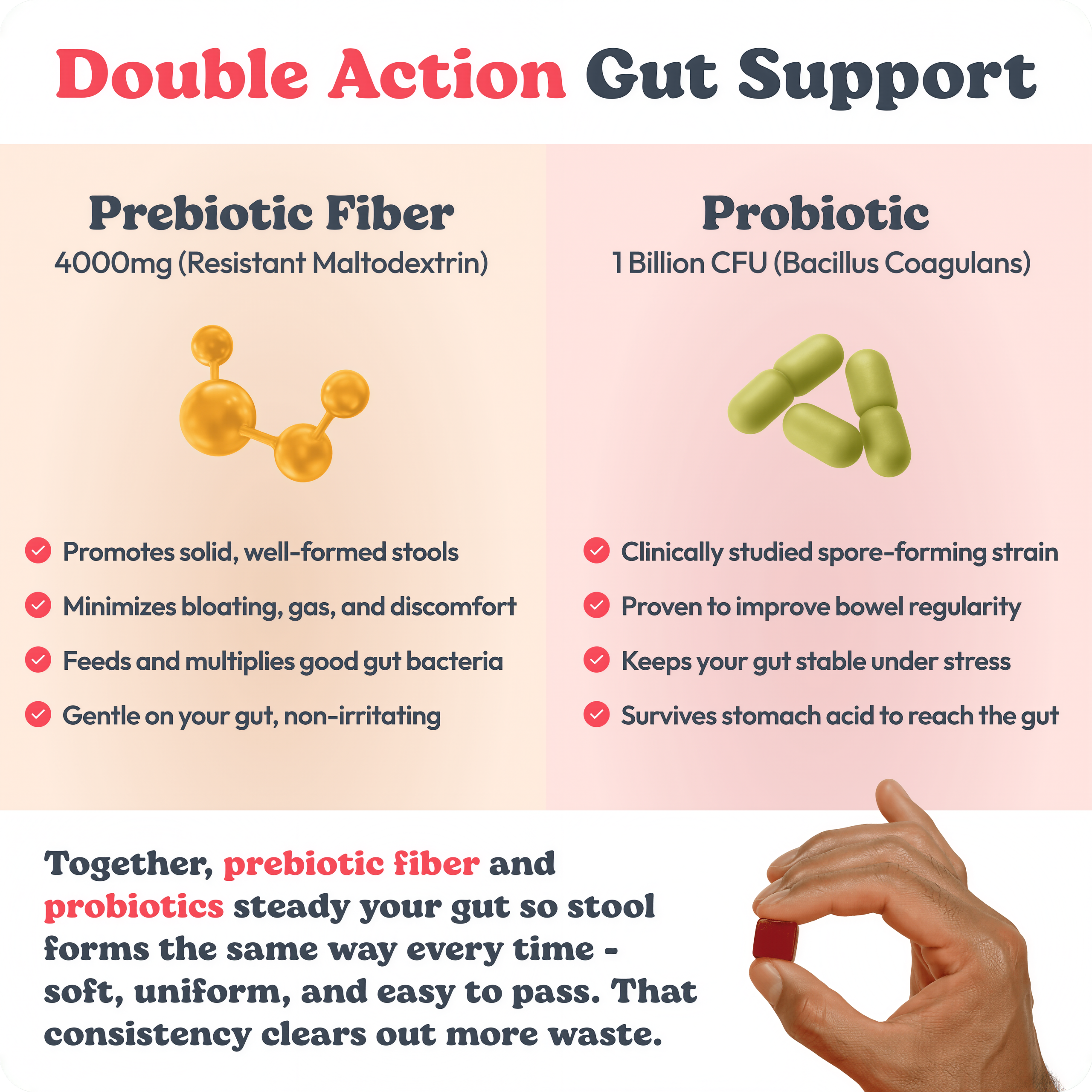 Clean Sugar-Free Pre+Probiotic Fiber Gummie